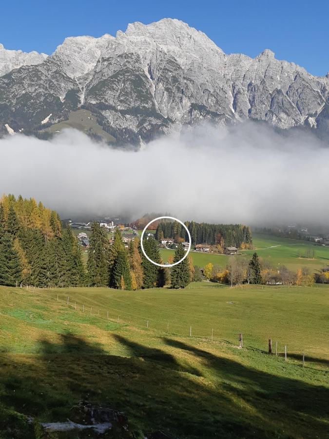 Appartement Haus Petra Leogang Dış mekan fotoğraf