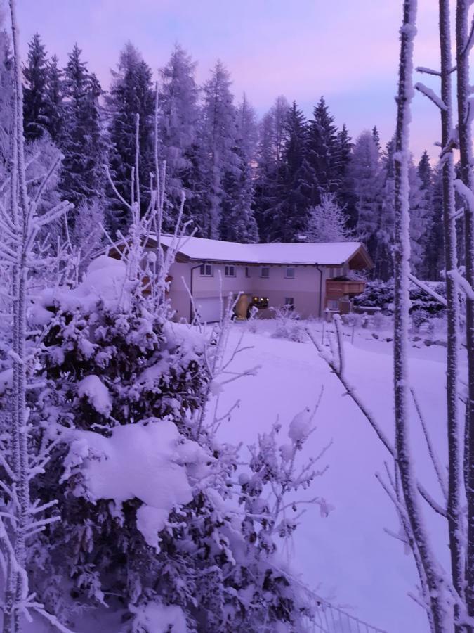 Appartement Haus Petra Leogang Dış mekan fotoğraf